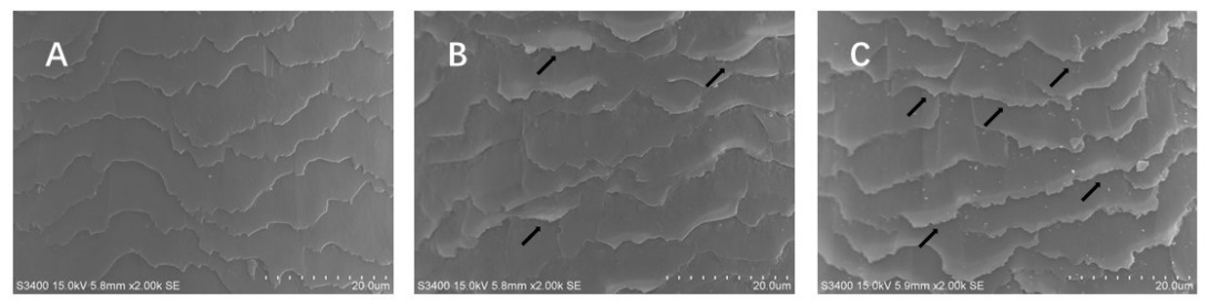 體外真發(fā),頭發(fā)熱損傷,模型研究,CIRS,功效評價,技術(shù)實(shí)踐