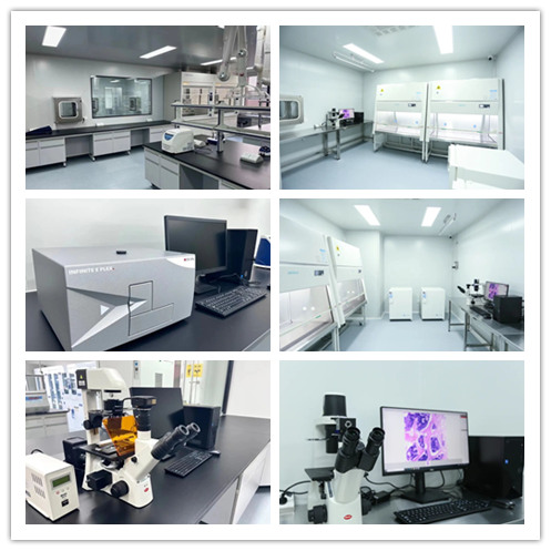 瑞旭科新生物,化妝品功效,日化品,瑞旭集團(tuán),?？茩z測,注冊備案