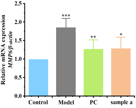 體外細胞培養(yǎng),模型,化妝品抗衰,功效評價