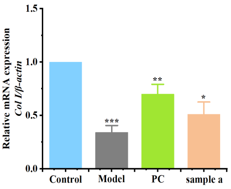 體外細胞培養(yǎng),模型,化妝品抗衰,功效評價