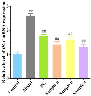 體外細(xì)胞,培養(yǎng),模型,祛斑,美白,功效評估