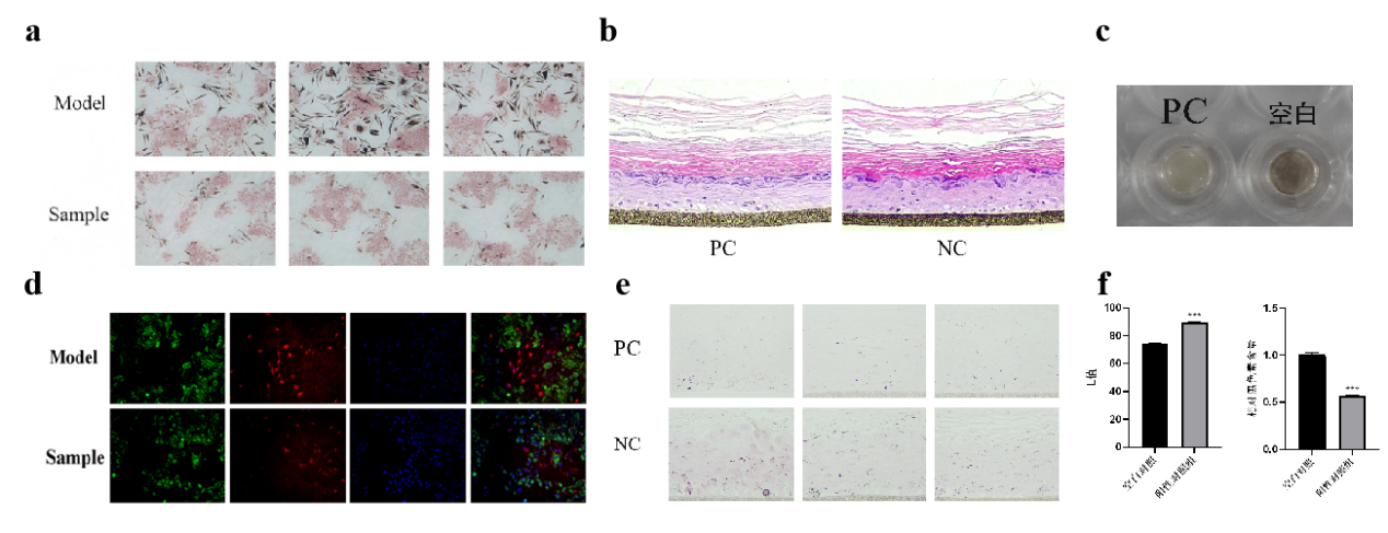 PDRN,再生醫(yī)學,護膚前沿,皮膚微生態(tài),安全性評估